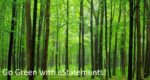 eStatements