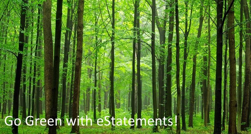 Electronic Statements